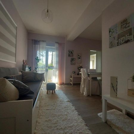 La Pineta - Delightful Small Apartment Near The City Center LʼAquila Kültér fotó