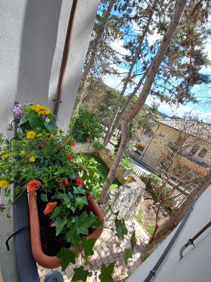 La Pineta - Delightful Small Apartment Near The City Center LʼAquila Kültér fotó
