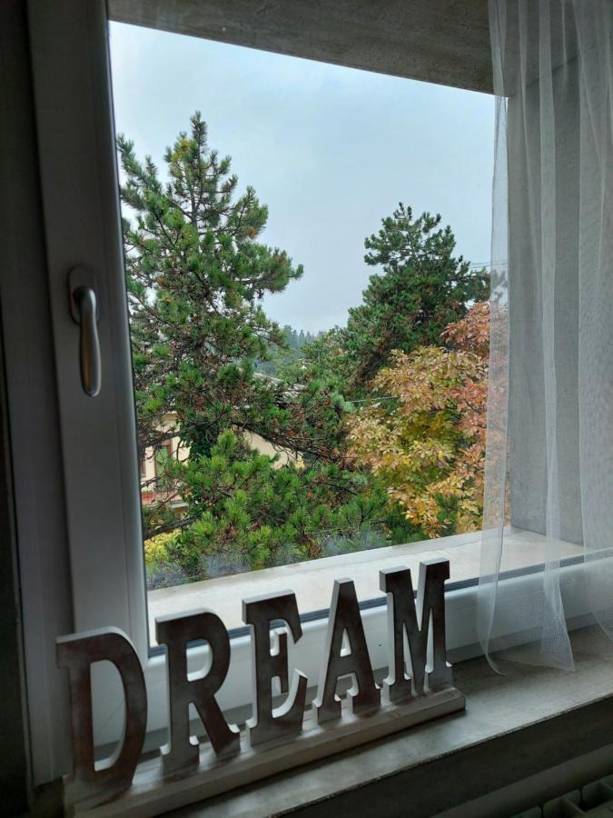 La Pineta - Delightful Small Apartment Near The City Center LʼAquila Kültér fotó